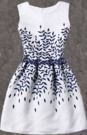 Women's Fit and Flare Sleeveless Dress