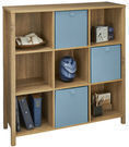 Premium Adjustable 38 9 Cube Unit Bookcase