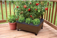 24x 20 Resin Raised Patio Garden Bed