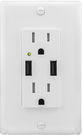 4.2a 2-Port Rapid Charging USB & Conventional Wall Socket